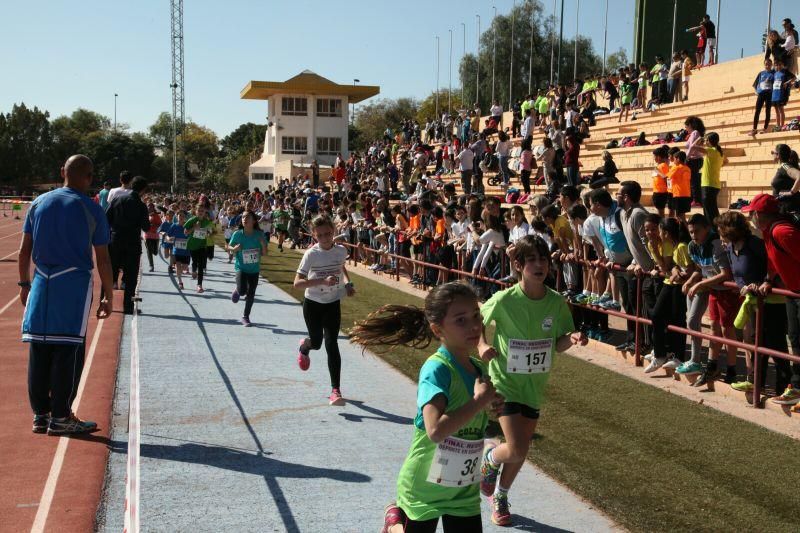 Final Regional de Campo a Través en Edad Escolar