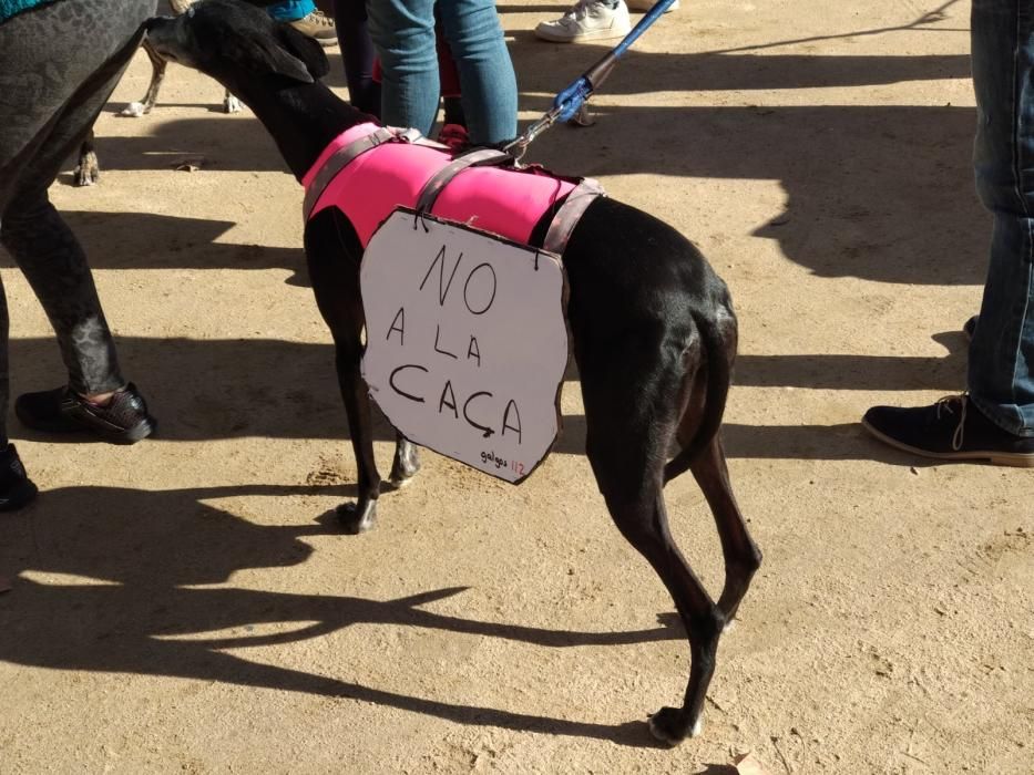 Manifestació contra la caça a Girona