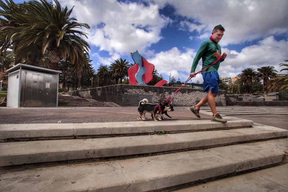 Reportaje: Gente con mascotas