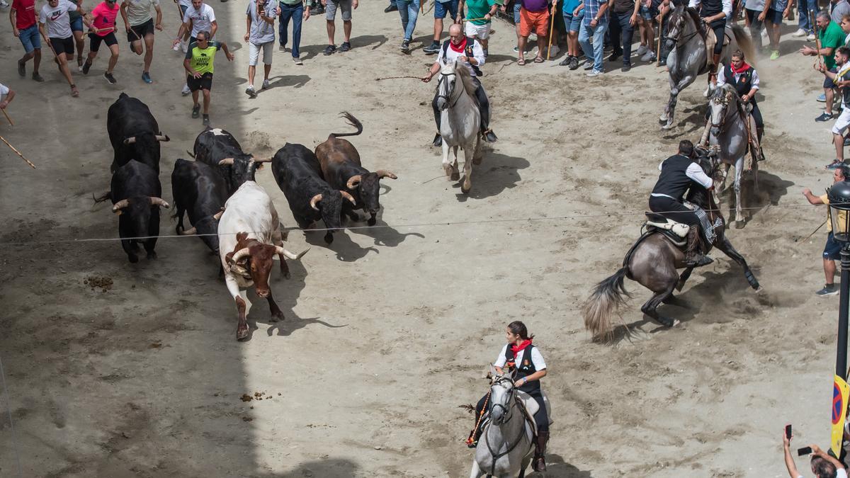 A la derecha de la imagen, momento en el que la montura de Alfonso Alandí gira su rumbo, antes de tropezar con otro caballo.