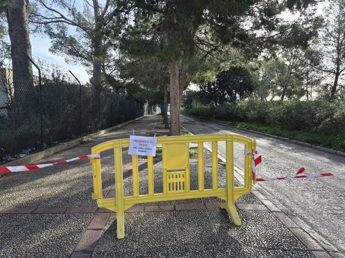 El paseo vallado por el riesgo de caída de ramas.