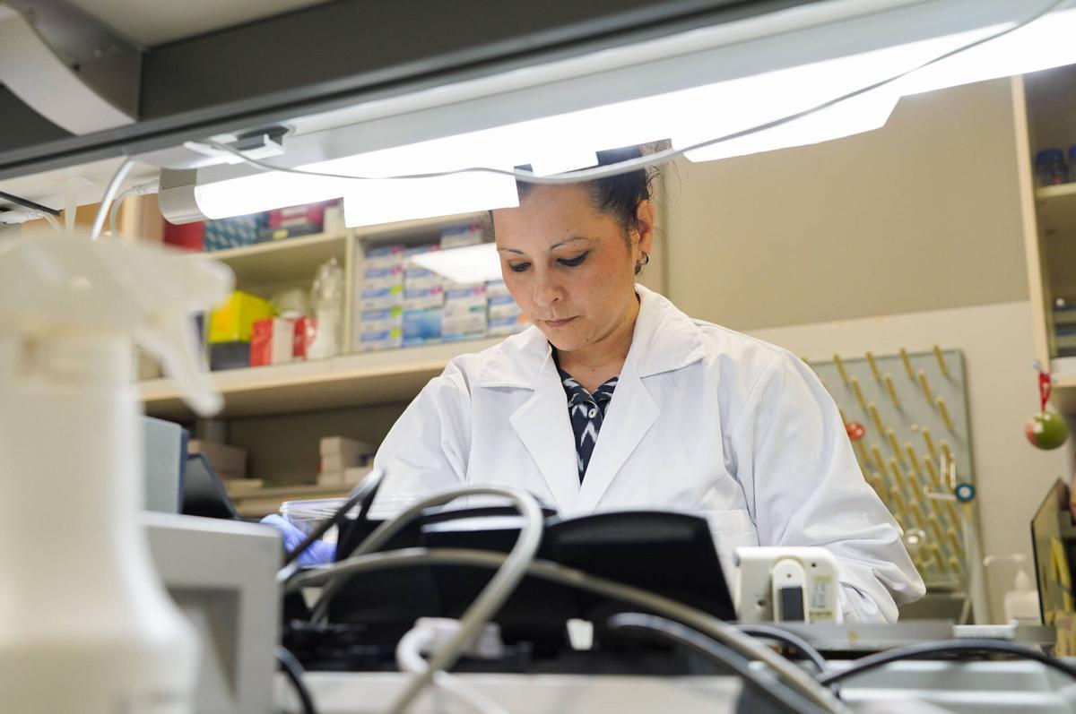Profesional desarrollando labores de investigación en los laboratorios del Instituto de Biomedicina de Sevilla (IBiS)