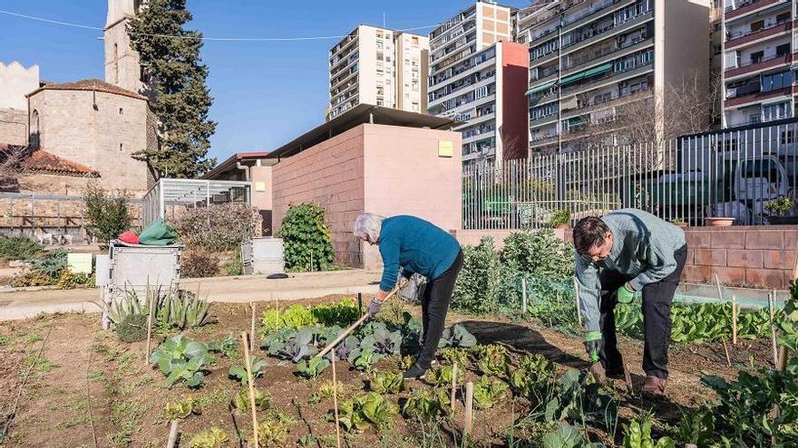 Un huerto urbano del Ayuntamiento de Barcelona