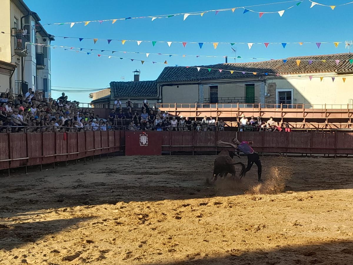 GALERÍA | Exhibición de cortes, quiebros y saltos en Morales de Toro