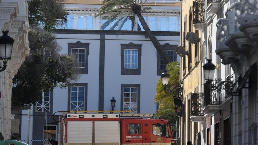 Una palmera se estrella contra un edificio en la Alameda de Colón