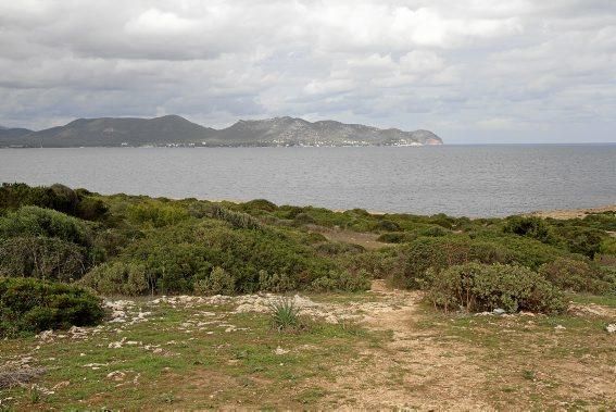 Porto Cristo? Cala Millor? Manacor? Sind das wirklich die schönsten Ecken der Insel? Für einen weit gereisten Autor ist die Sache klar: Nirgends ist Mallorca so abwechslungsreich