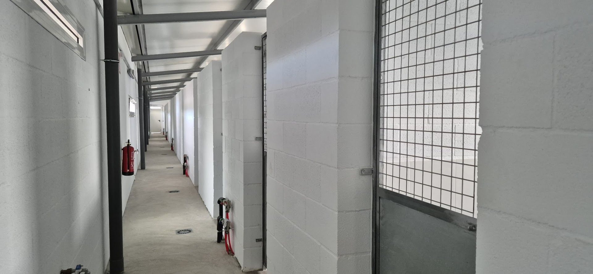 Inauguración del Centro de Acogida de Animales de la Safor en Tavernes de la Valldigna