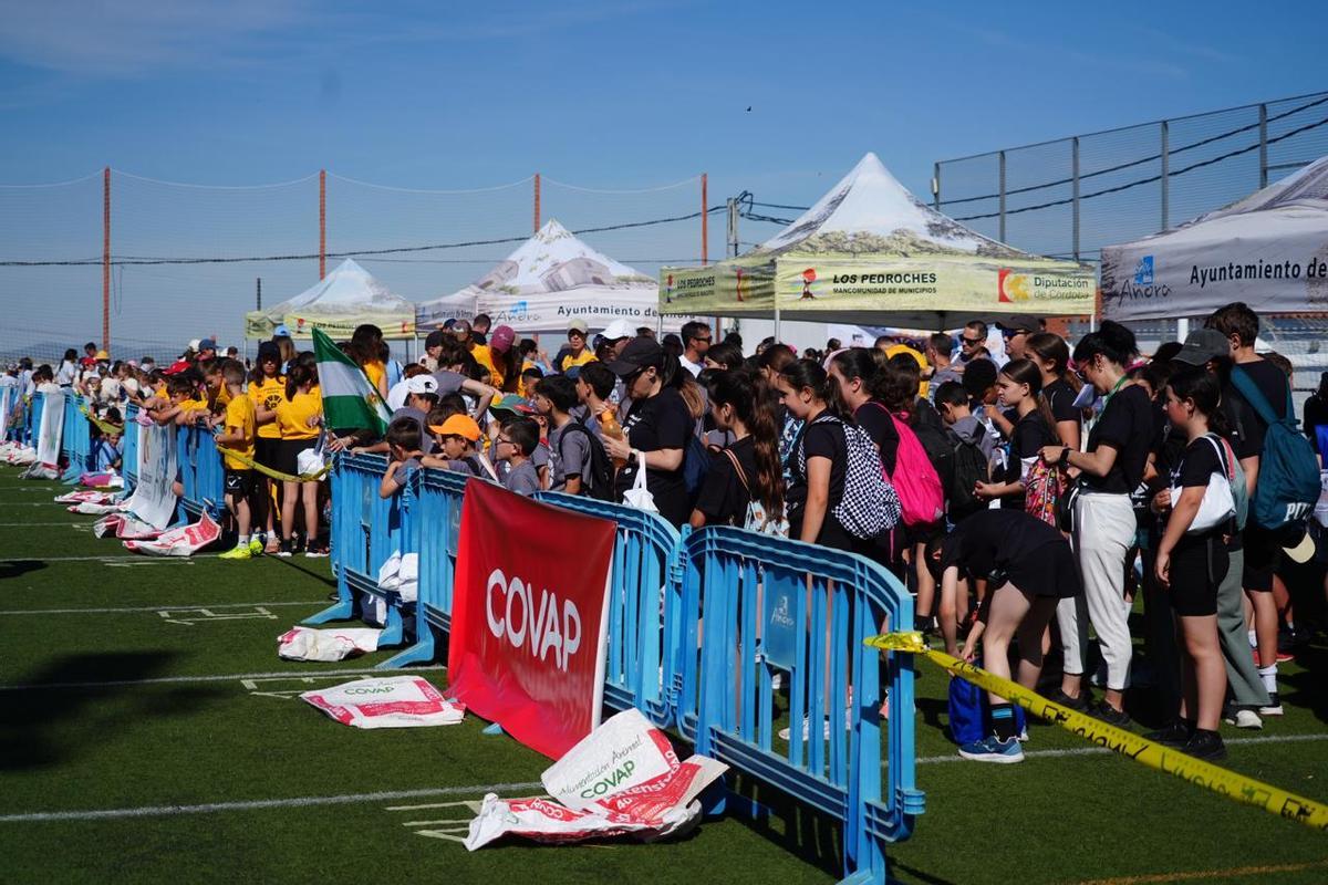 Añora celebra sus Olimpiadas Rurales escolares