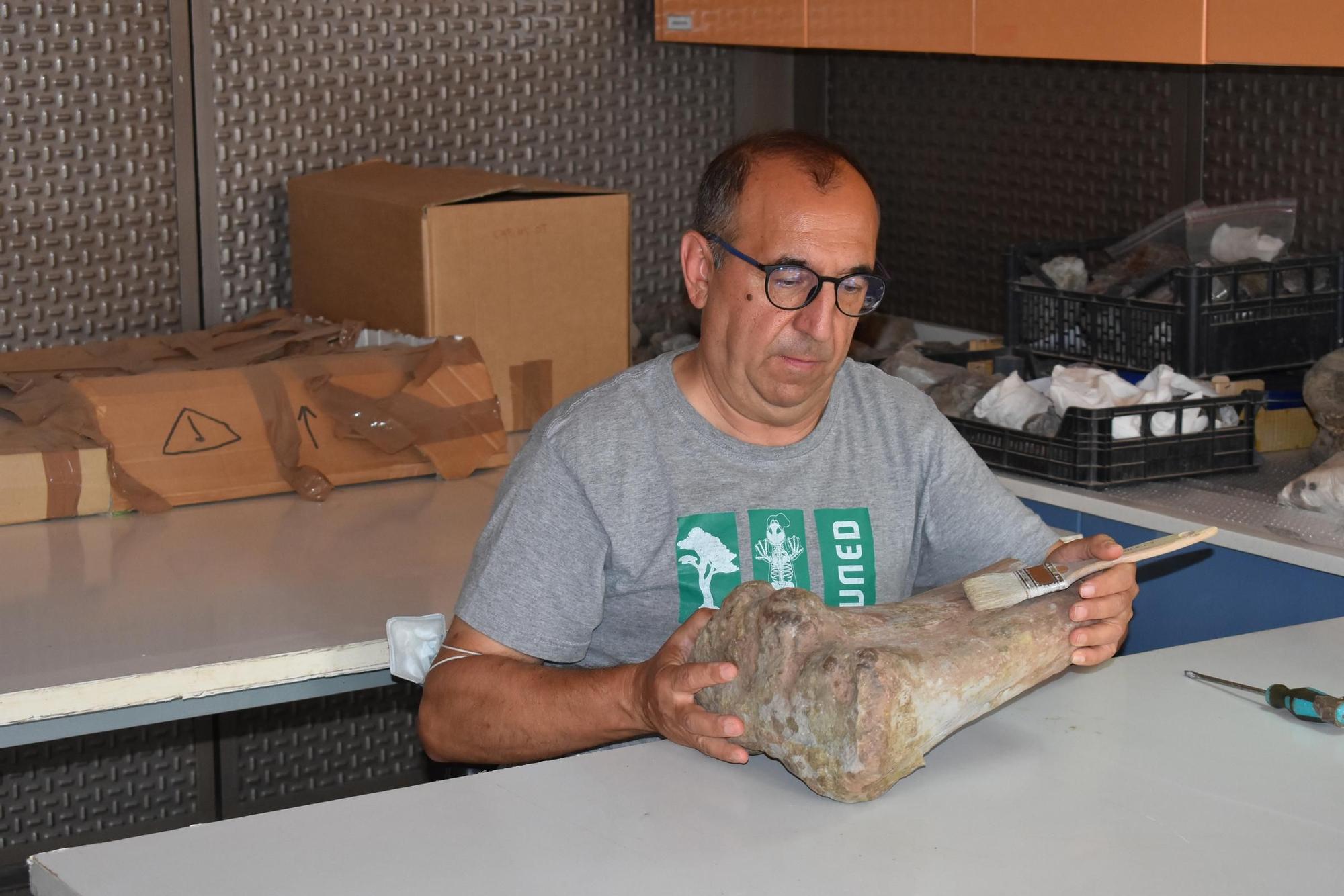 José Miguel Gasulla en los fondos del Museo Temps de Dinosaures de Morella