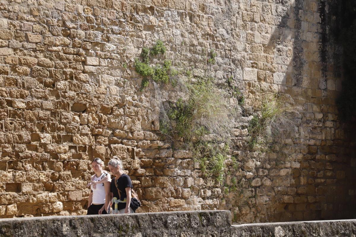 A.J.González Córdoba Muralla de la calle Cairuán