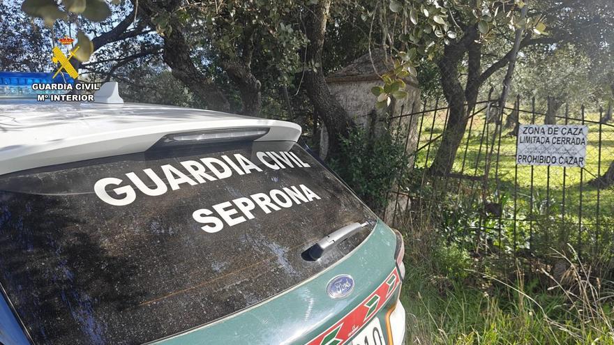 Sorprendido cuando se disponía a sobresaltar la caza de una finca de Monesterio donde iba a haber una montería