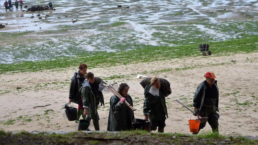 Mariscadoras de las cofradías en la playa.