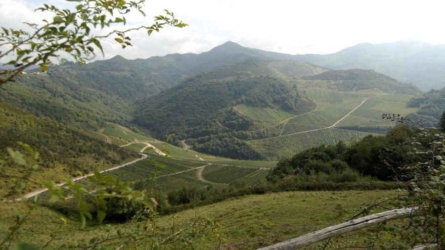 Terrenos restaurados de la antigua mina a cielo abierto de La Mozquita, propiedad de Hunosa. | LNE