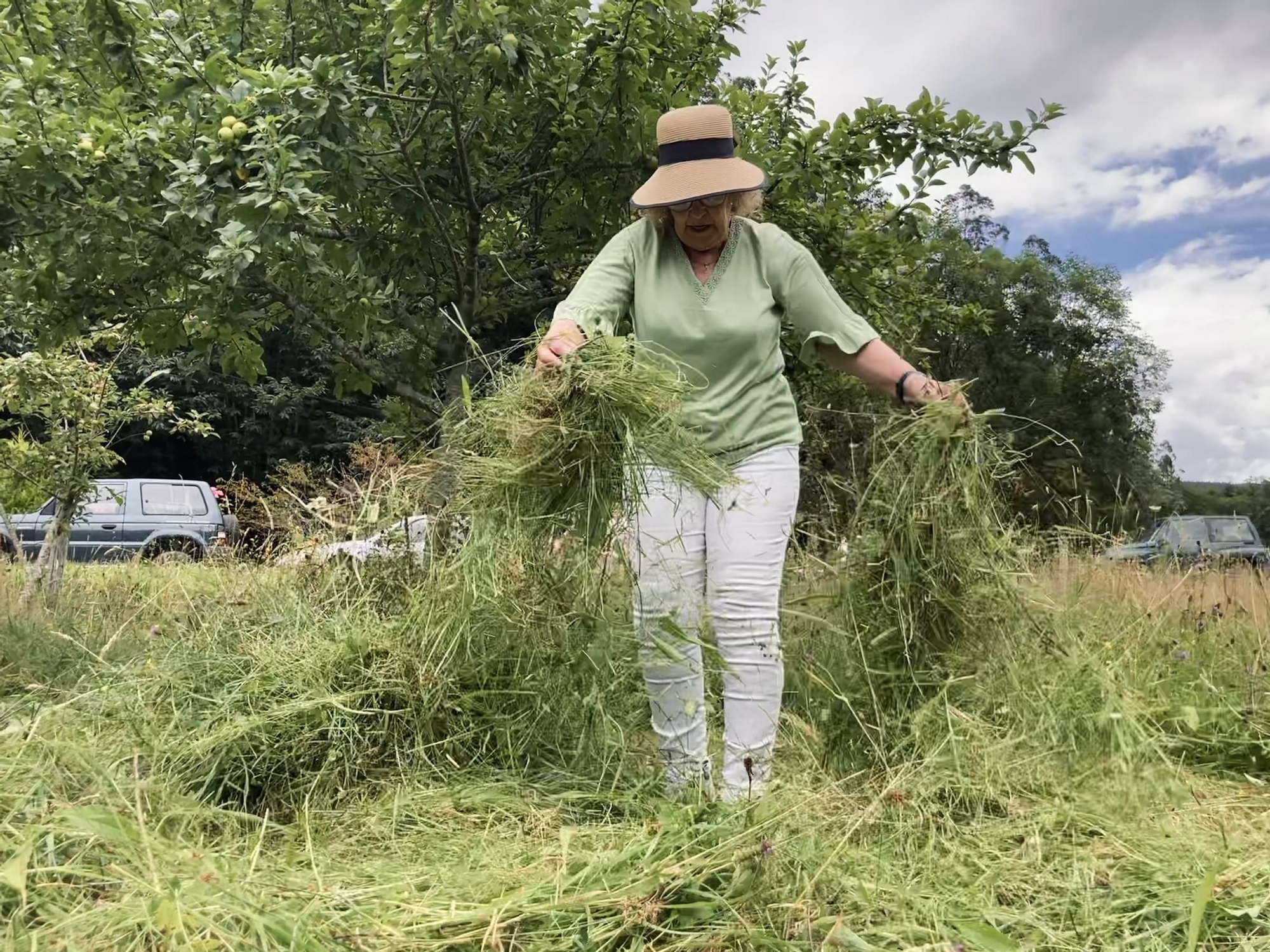 Faena en La Barraca: así fue la fiesta de la hierba en el pequeño pueblo salense