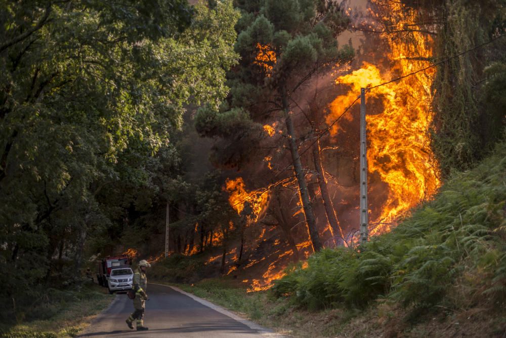 Los servicios de emergencia intentan sofocar las llamas por tierra y por aire.