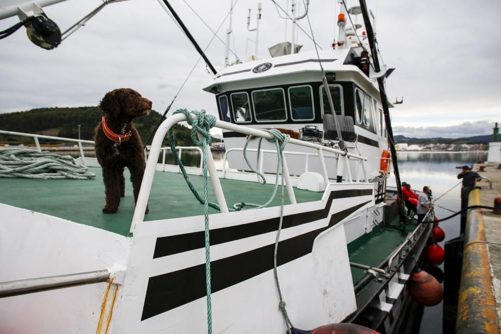 Preparativos para la pesca el bonito. Esmeralda II