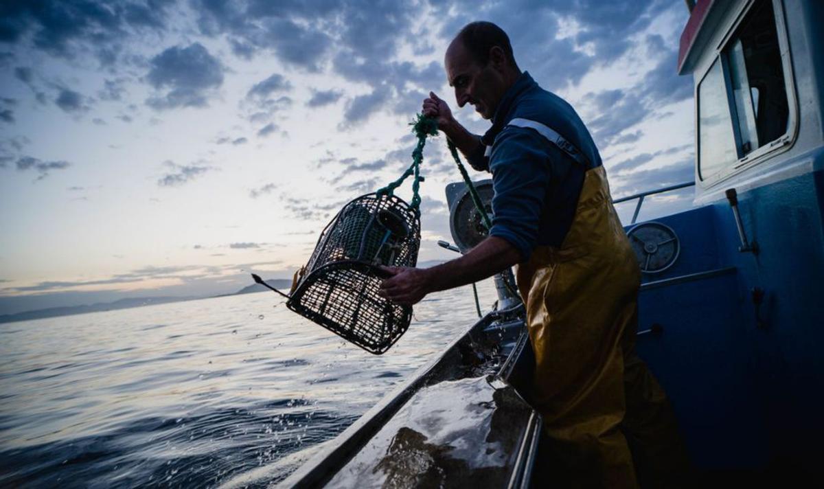 Roberto Gallego, 
patrón baionés, 
recogiendo nasas. // Pedro P.