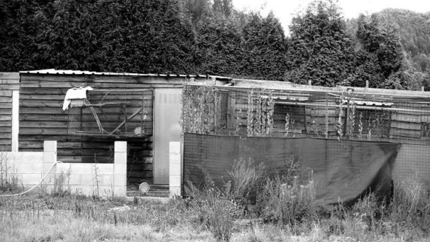 La finca de Castrillón donde I. A. S. cría halcones.