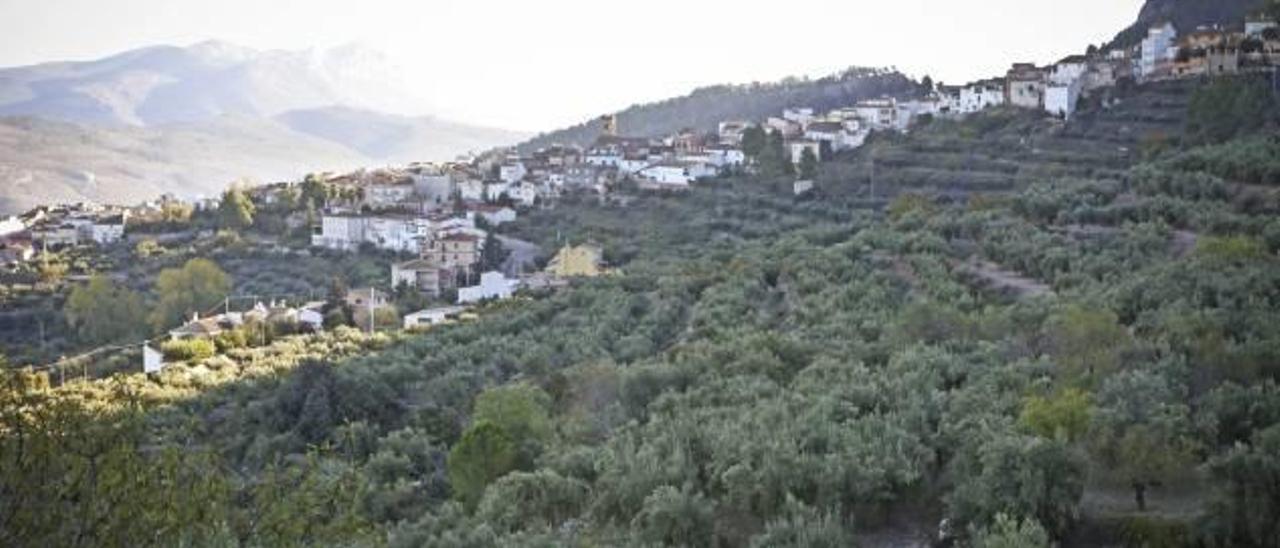 Agres hará dos cortafuegos para proteger a Mariola y al casco urbano de los incendios