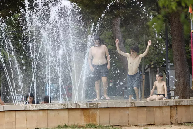 Erfrischende Oase für Mensch und Hund mitten in Palma: So gemütlich geht es im Parc de Sa Feixina zu