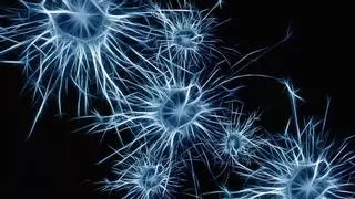 Esto es lo que le pasa a tus neuronas cuando creas recuerdos, según un estudio