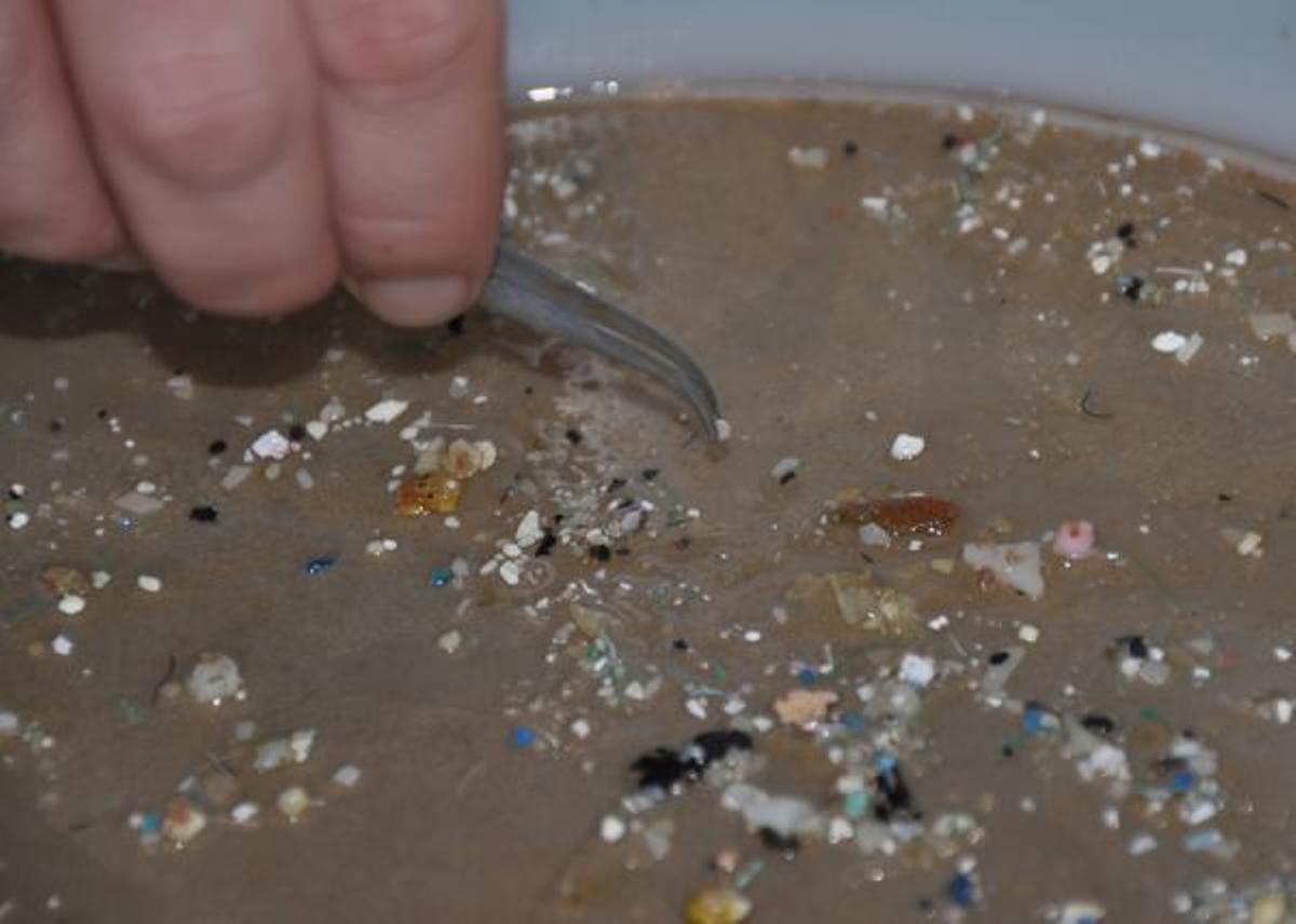Descubren que los microplásticos también invaden el océano profundo