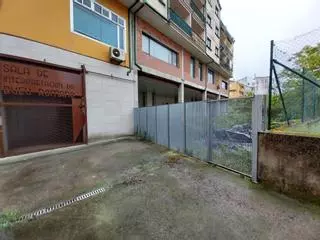 La sala del Bueu Romano abrirá el 21 de julio y será visitable durante dos meses