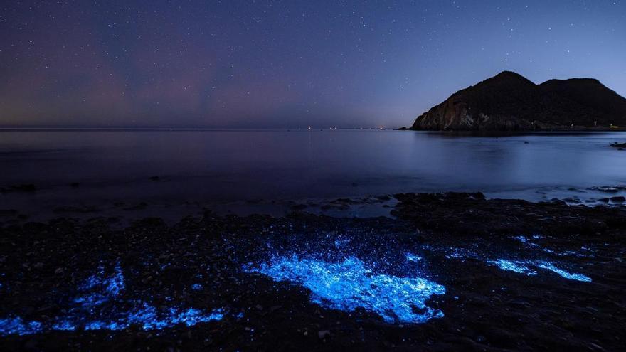 La bioluminiscencia que tiñe de azul eléctrico el mar de Águilas, cada vez más vulnerable