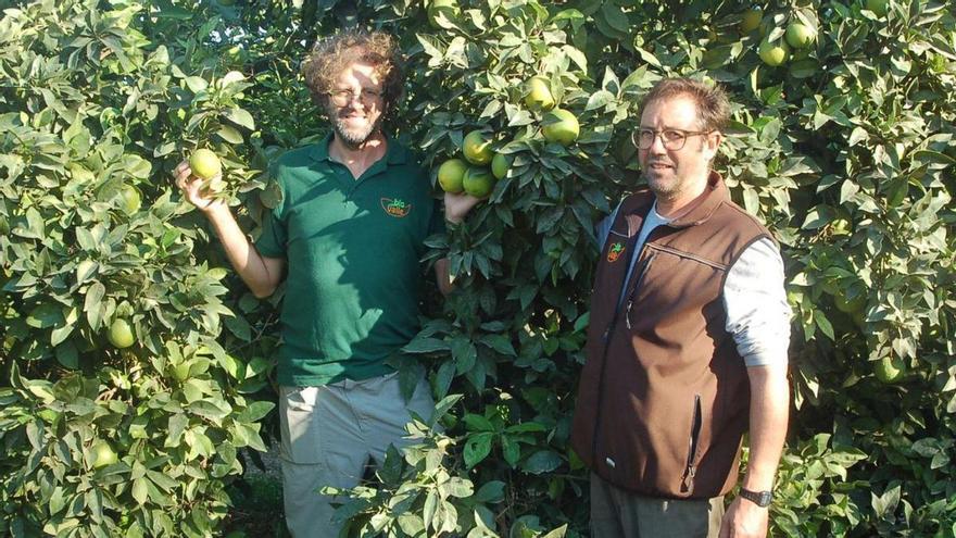 La letra pequeña de las naranjas de octubre