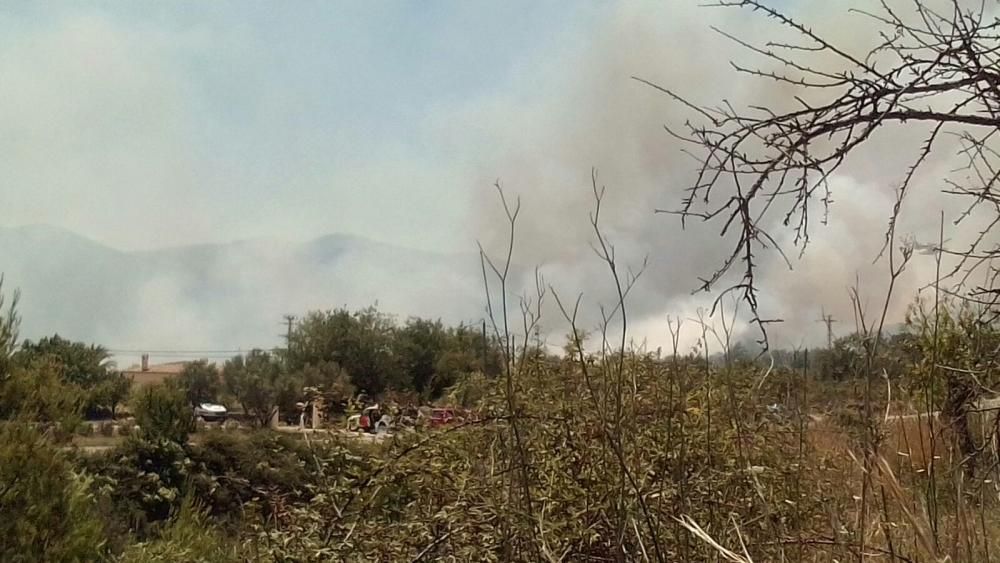 Un incendio forestal en Parcent obliga a desalojar una decena de viviendas