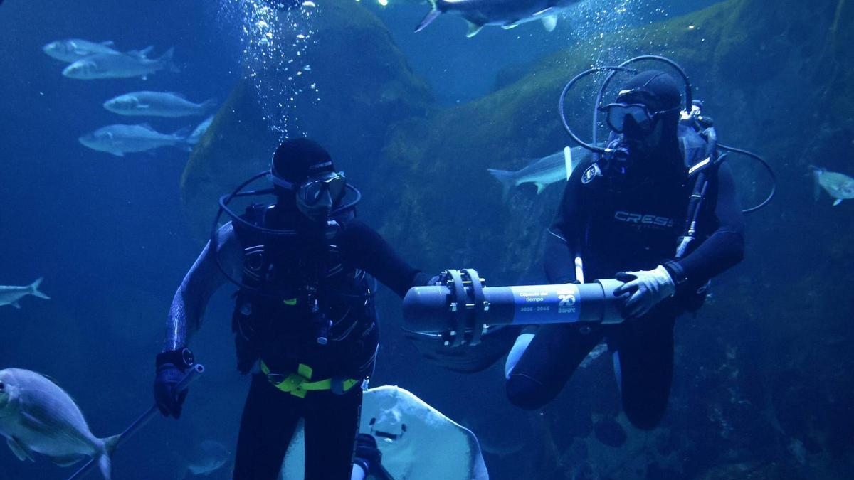 VÍDEO: El Acuario de Gijón celebra sus 20 años y fija sus retos para las próximas dos décadas