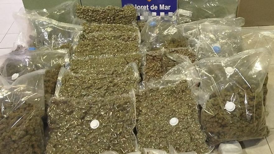 Detenen quatre homes per tràfic de drogues i intervenen droga valorada en 97.000 euros a Lloret