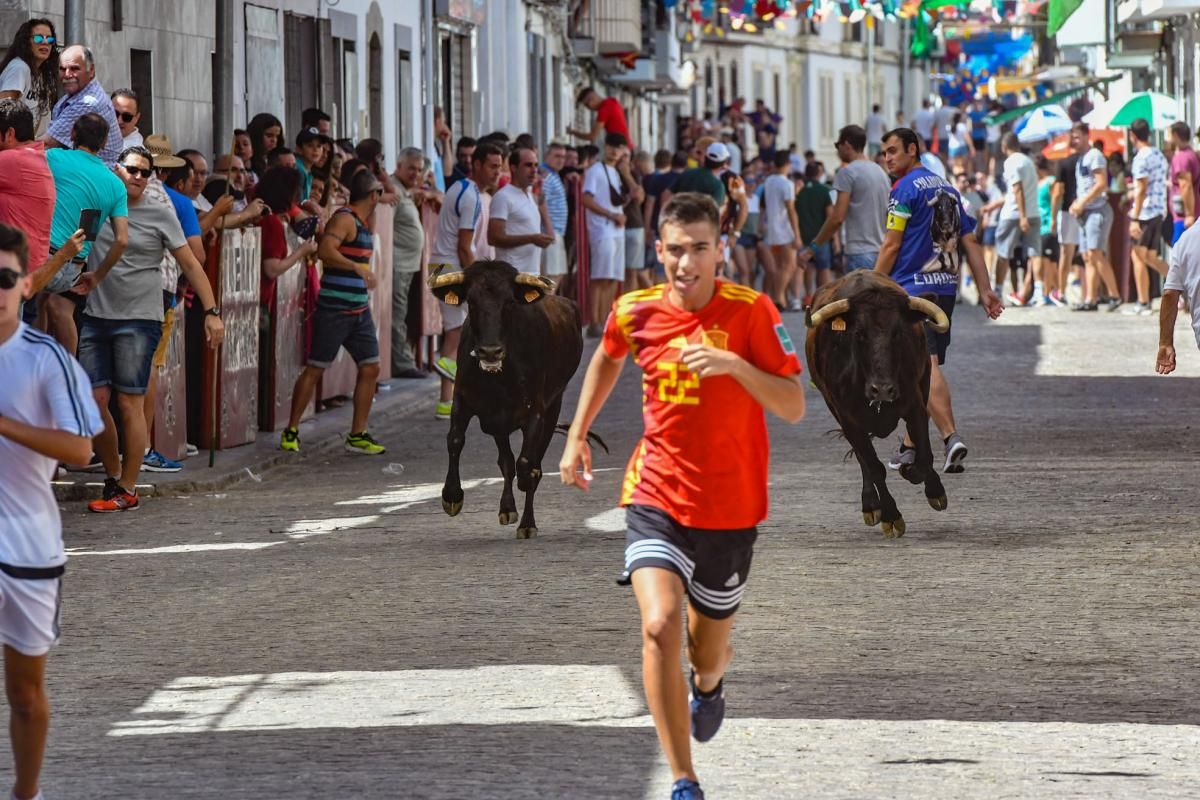 Encierro de las vaquillas de El Viso