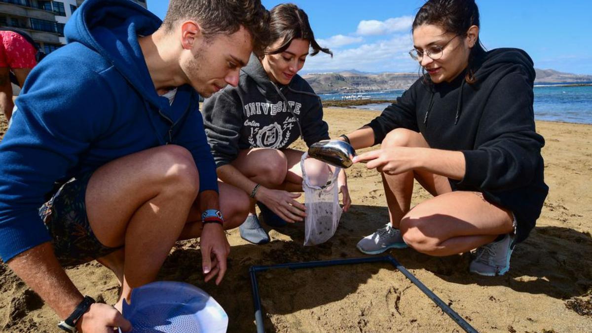 Unos jóvenes realizan un filtrado en la arena de Las Canteras. | |