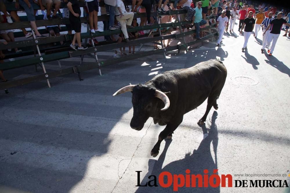 Primer encierro de Calasparra