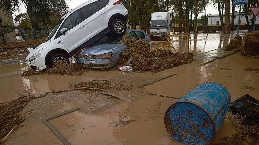 Vehículos afectados por las inundaciones en Campillos.