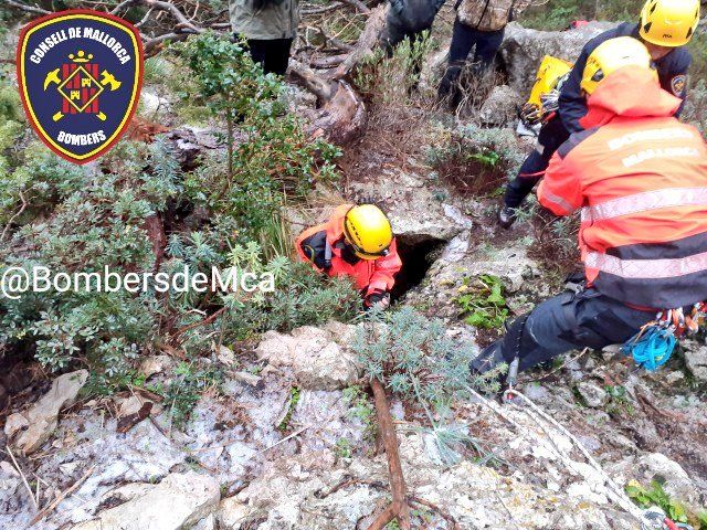 Los bomberos rescatan a un perro caído en una sima en Escorca