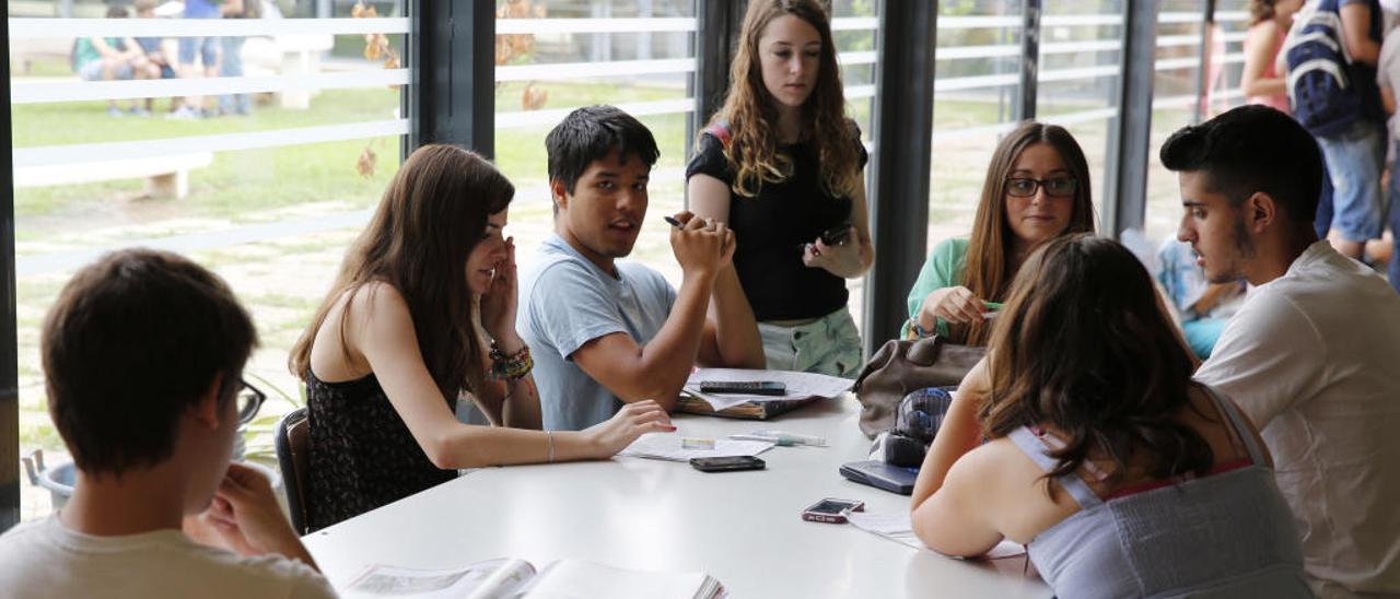 El abandono escolar marca el mínimo entre los chicos pero aún afecta al 24,2 %