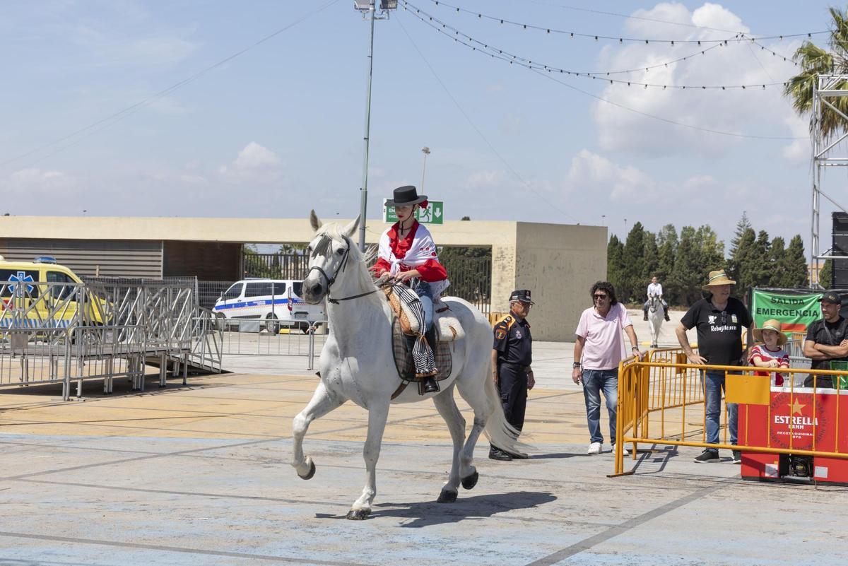 Desfile de caballistas de la Feria de Mayo 2026 de Torrevieja este domingo