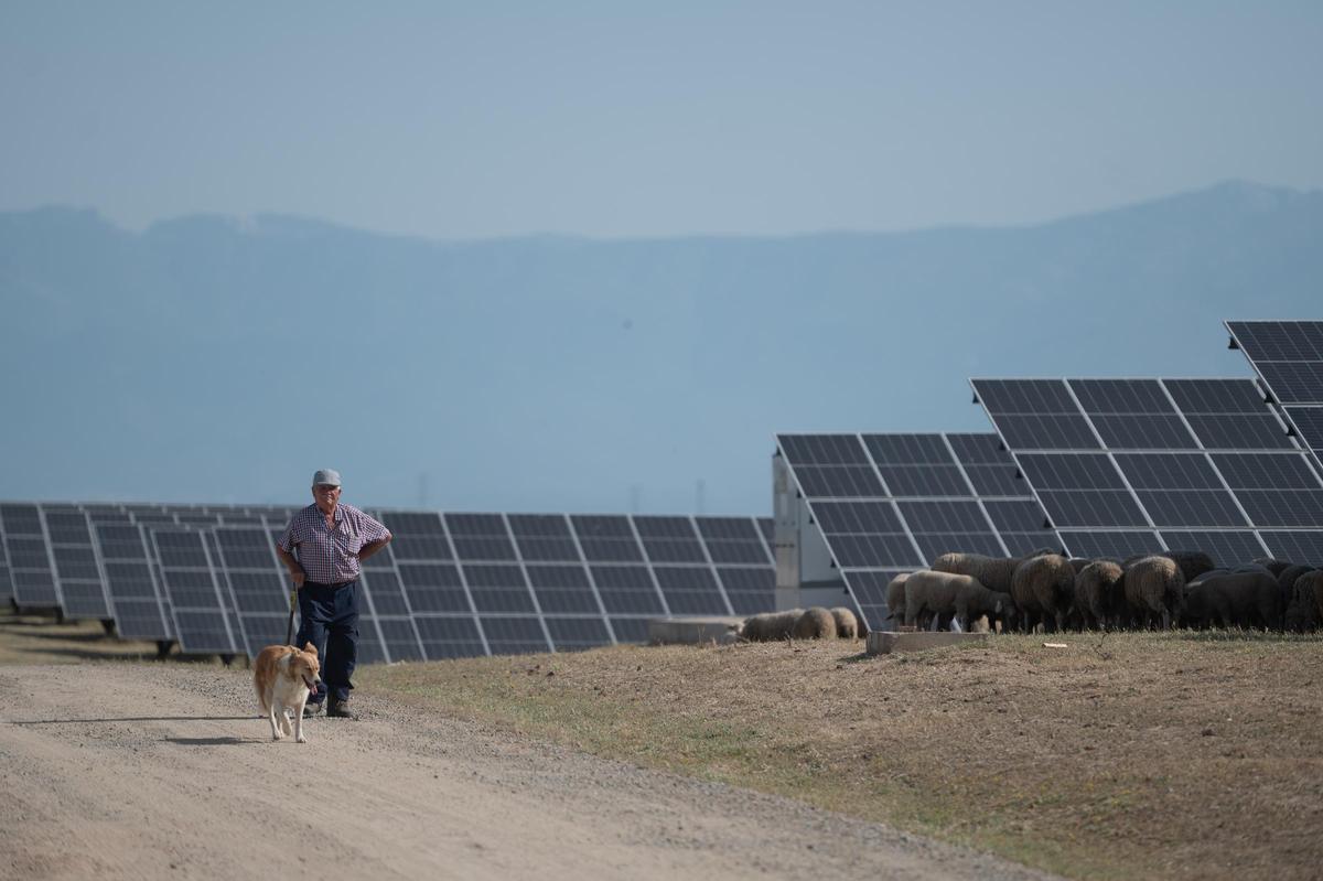 Fotogalería | Las imágenes del acto de inauguración de la mayor batería de almacenamiento de energía de España
