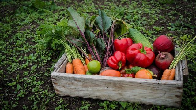 Un estudi mostra beneficis de la dieta vegana en fibromiàlgia