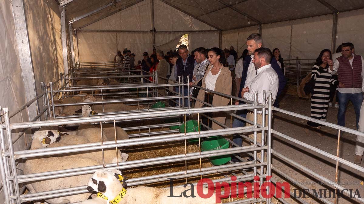 Así se ha vivido la Feria de Cordero Segureño en la pedanía caravaqueña de Archivel