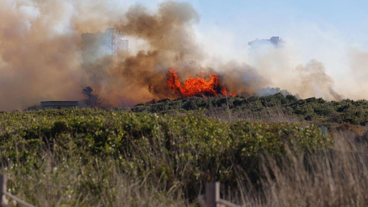 Declarado un incendio en el Saler