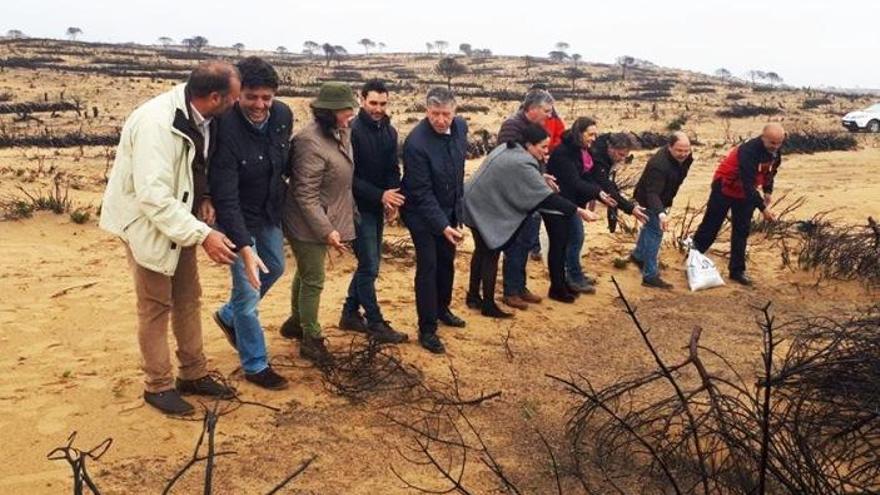 Una empresa cordobesa entrega 160 kilos de semillas para recuperar una zona incendiada  de Doñana