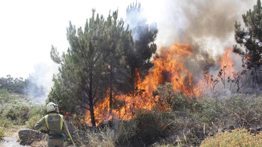 Incendio forestal en Aldán