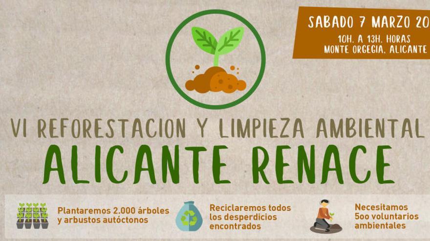 El monte Orgegia se reforestará con 2.000 árboles y arbustos autóctonos