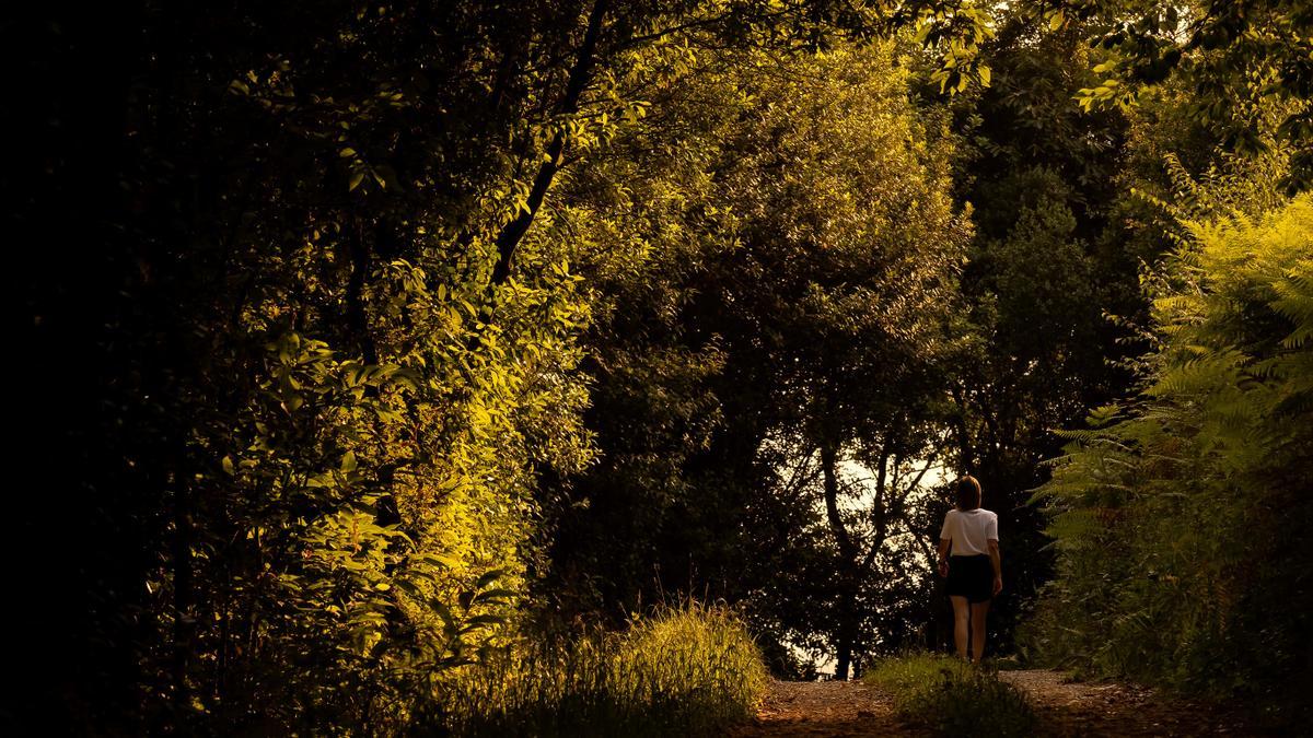 Caminante en un sendero en la zona de San Cucao