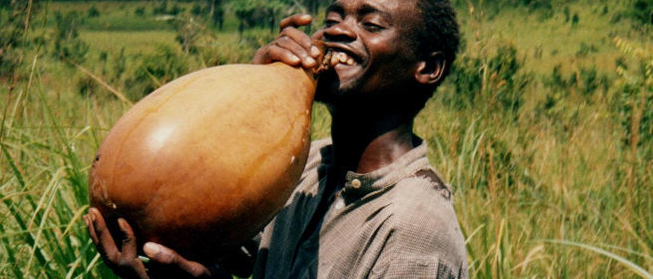 Joven africano bebiendo vino de palma.