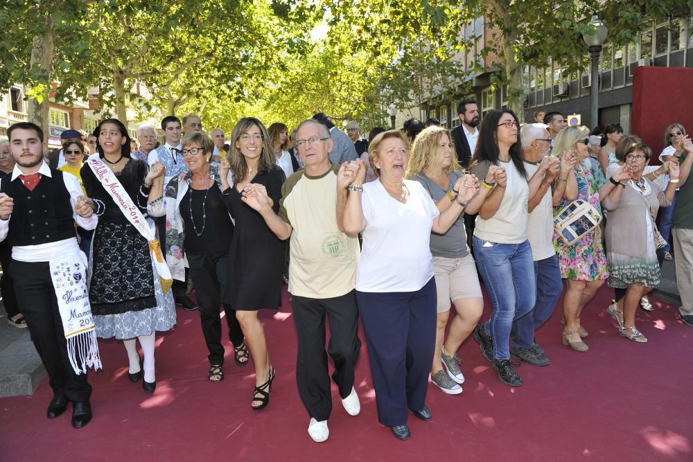 Ofrena de la Diada 2017 a Manresa