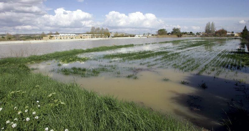 Crecida del Ebro en Zaragoza